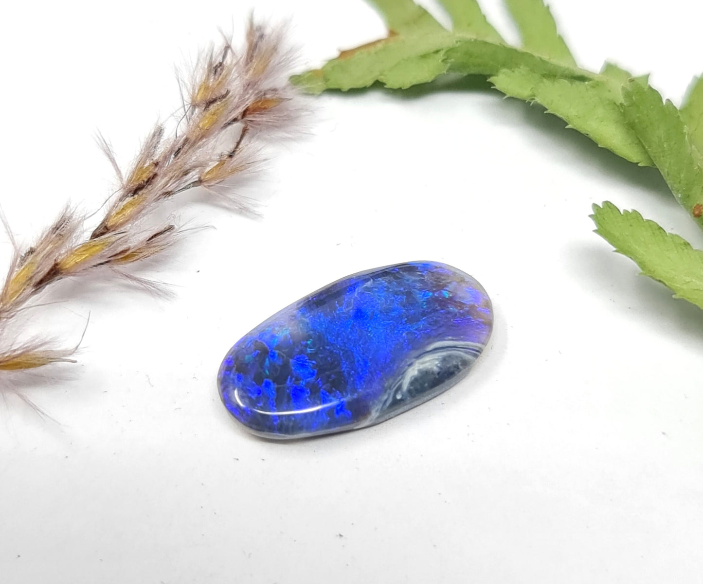 Australischer Black Opal, Cabochon mit intensiv blauem Farbspiel, 3,79ct 17x9x3mm