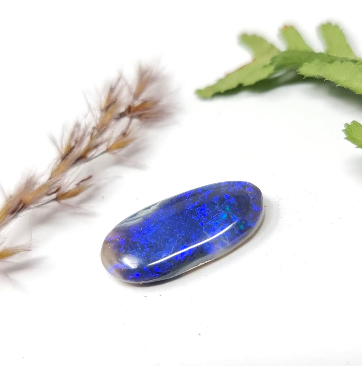 Australischer Black Opal, Cabochon mit intensiv blauem Farbspiel, 3,79ct 17x9x3mm
