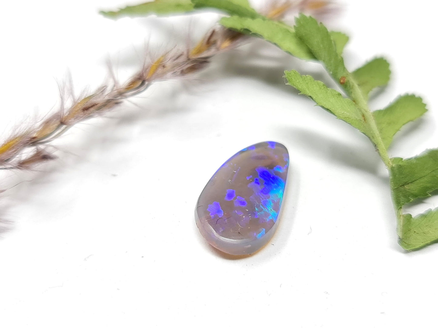 Echter australischer Opal aus Lighting Ridge , black Crystal Opal, Cabochon 2,9ct 15x13x3mm