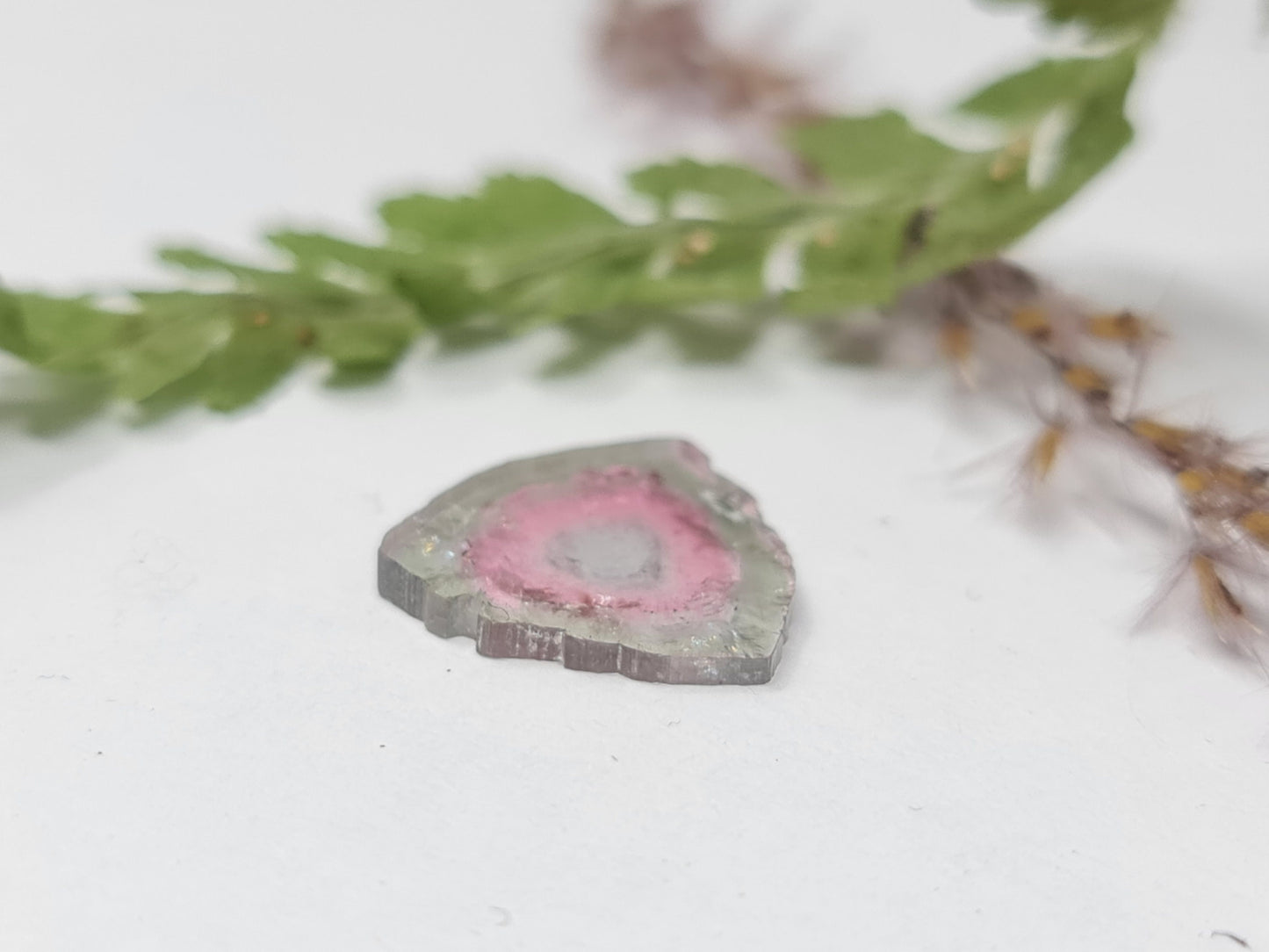 Nr.63 Excellente, große Wassermelonenturmalin Scheibe, zweifarbig (bicolor) rosa grün, 4,2ct 15,1x14,7x2mm