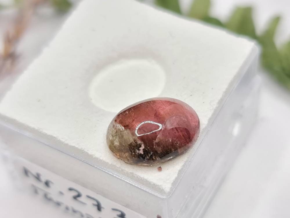 Bicolor Turmalin Katzenauge ovales Cabochon 11,5x9,8mm 3,68ct (Nr.273)
