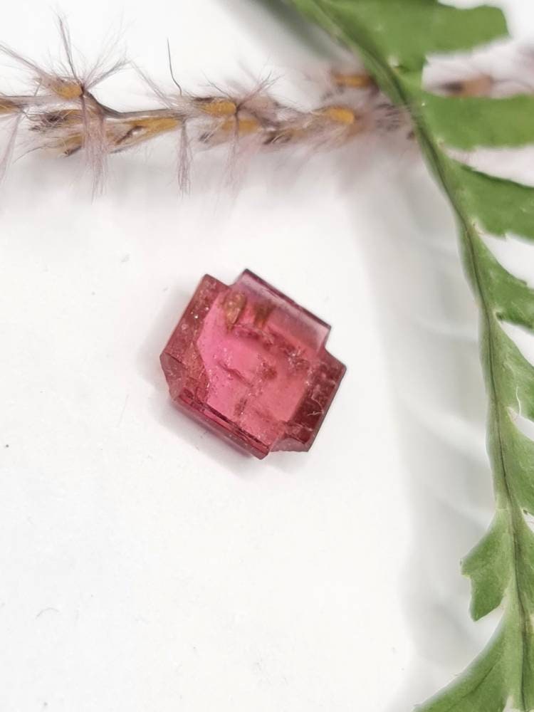 Pink Turmalin, Sonderschliff in flacher Kreuzform 11x11mm 2.90ct (Nr.240)