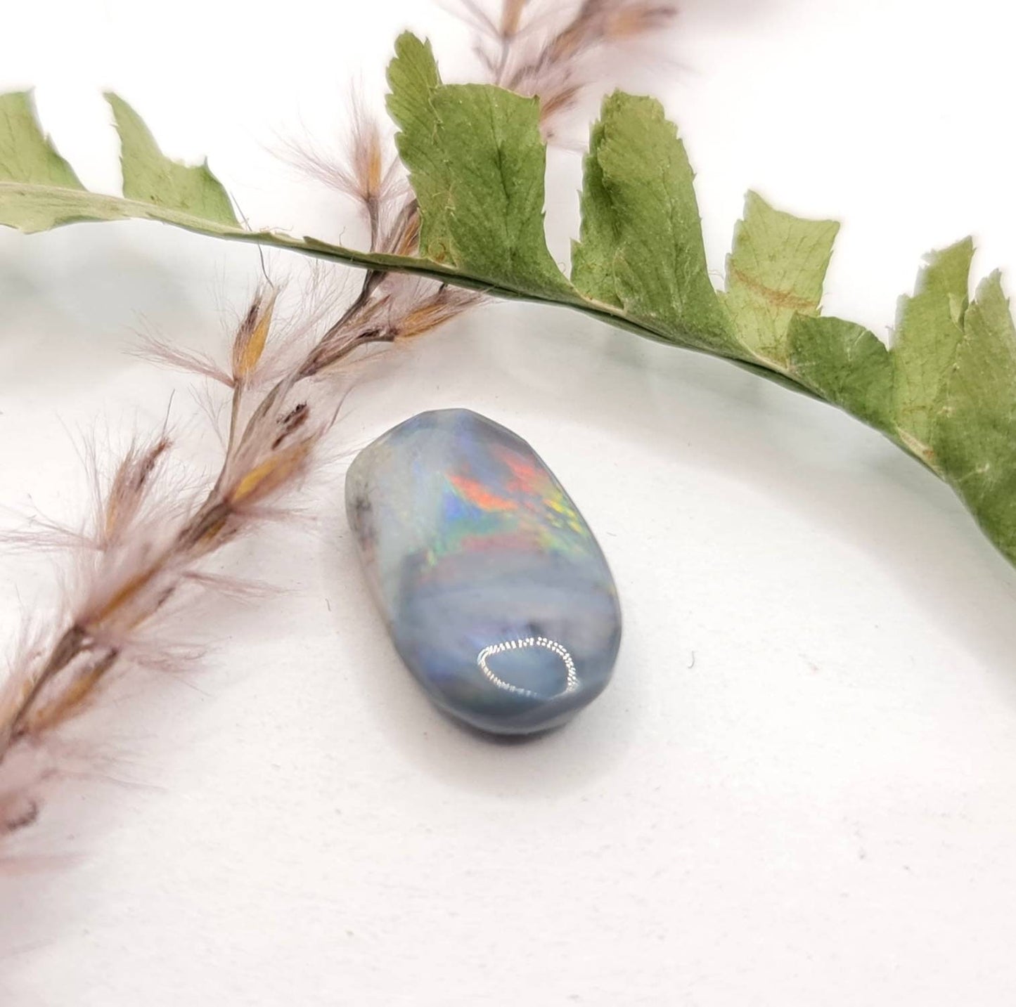 Echter australischer Opal aus Lightning Ridge, multicolor 14,3x8,5mm 3,56ct (Nr.643)