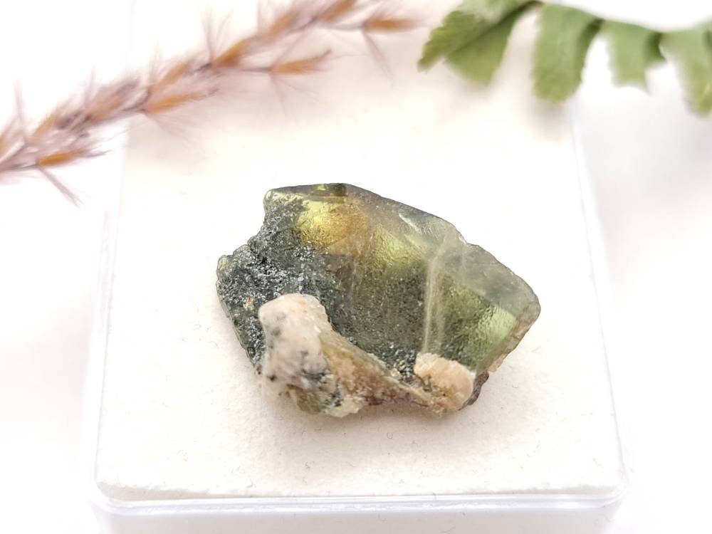 Echter Sphen /Titanit grün braun Rohstein Stufe Micromount Tormiqtal, Haramosh Mountains, Pakistan 19,3x12,8mm 15ct (Nr.1037)