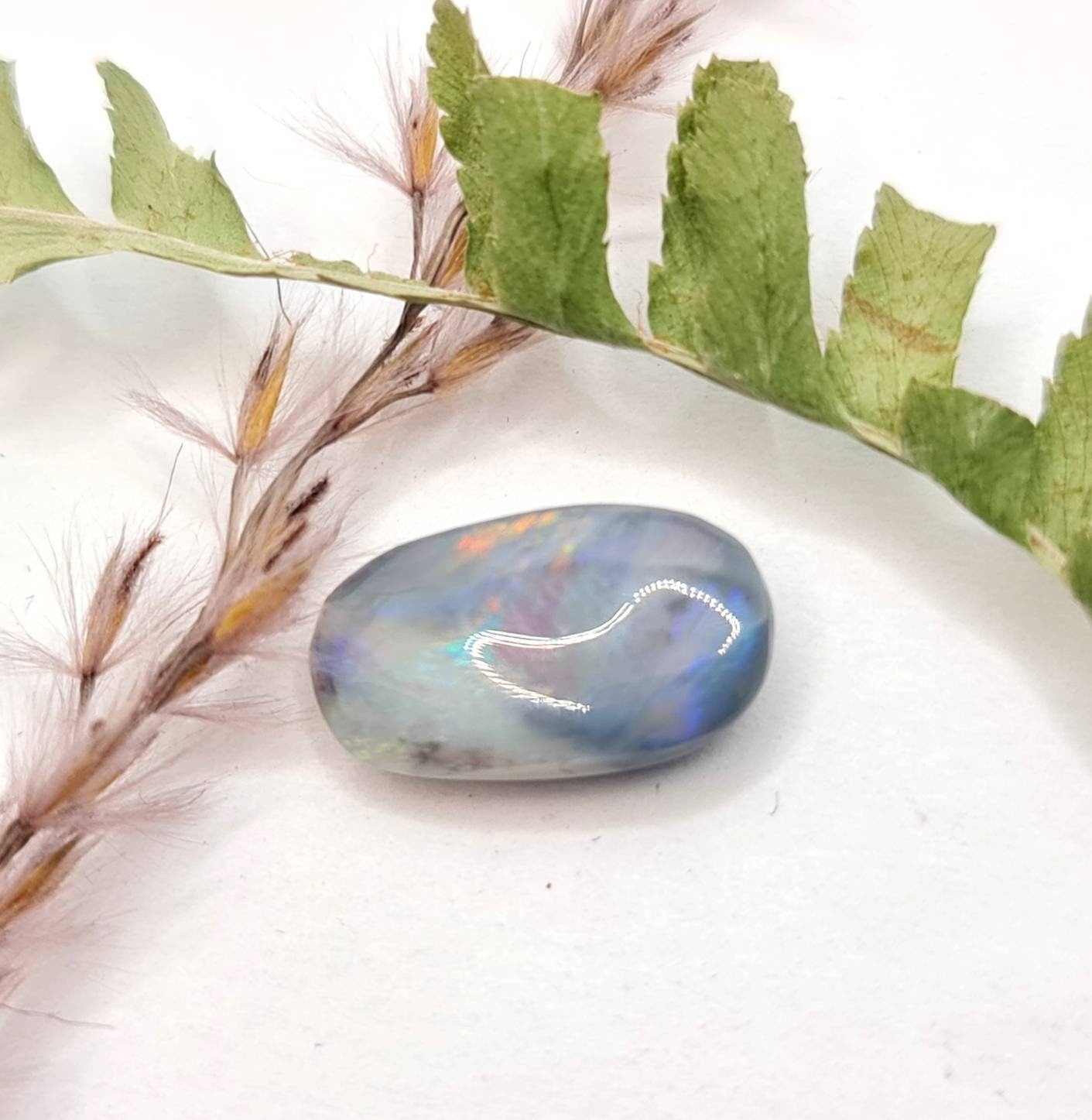 Echter australischer Opal aus Lightning Ridge, multicolor 14,3x8,5mm 3,56ct (Nr.643)
