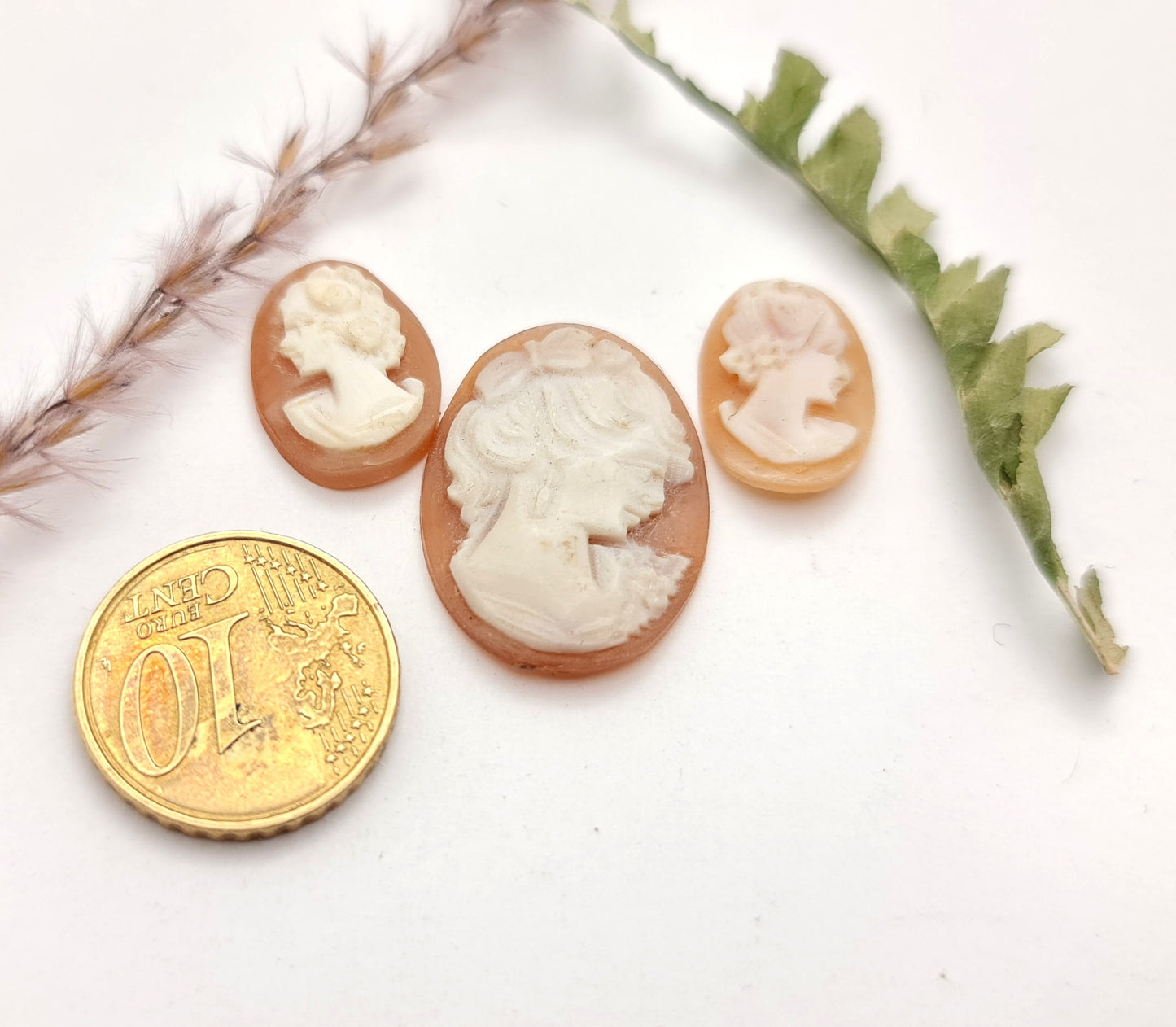 Handgeschnitzte antike Muschelkamee oval, verschiedene Varianten!