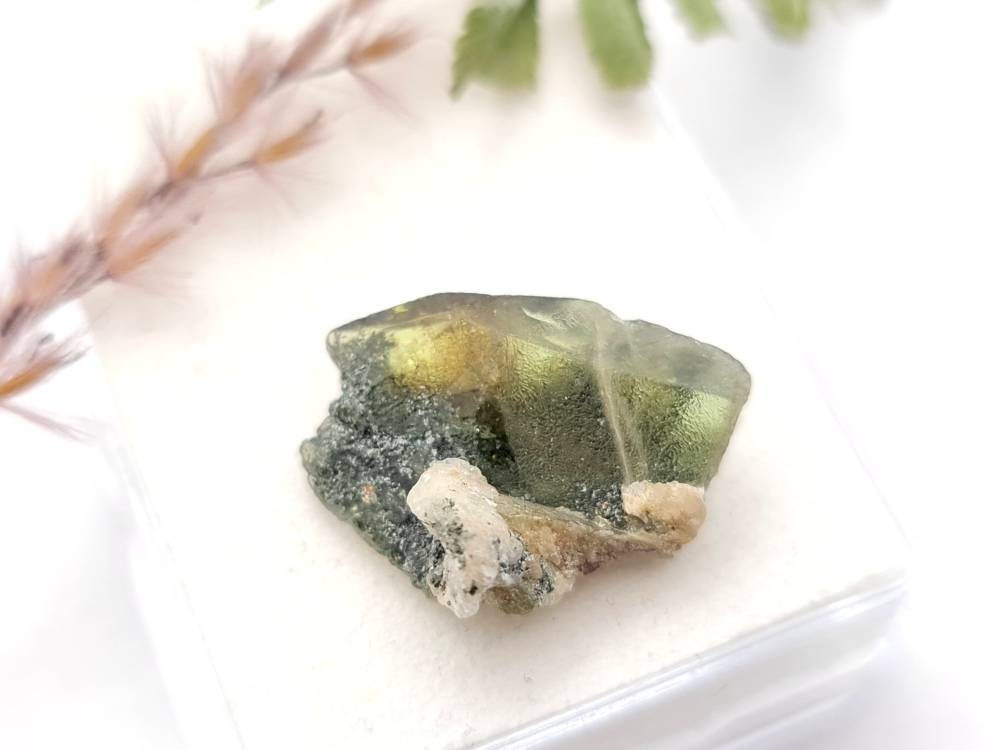 Echter Sphen /Titanit grün braun Rohstein Stufe Micromount Tormiqtal, Haramosh Mountains, Pakistan 19,3x12,8mm 15ct (Nr.1037)