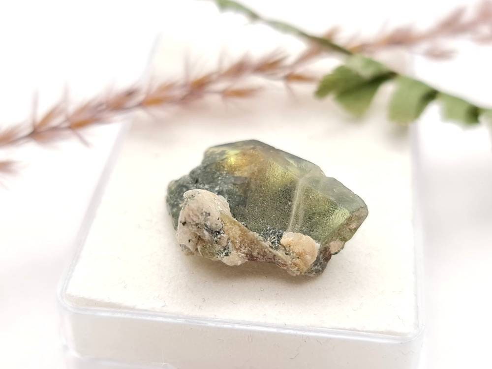 Echter Sphen /Titanit grün braun Rohstein Stufe Micromount Tormiqtal, Haramosh Mountains, Pakistan 19,3x12,8mm 15ct (Nr.1037)