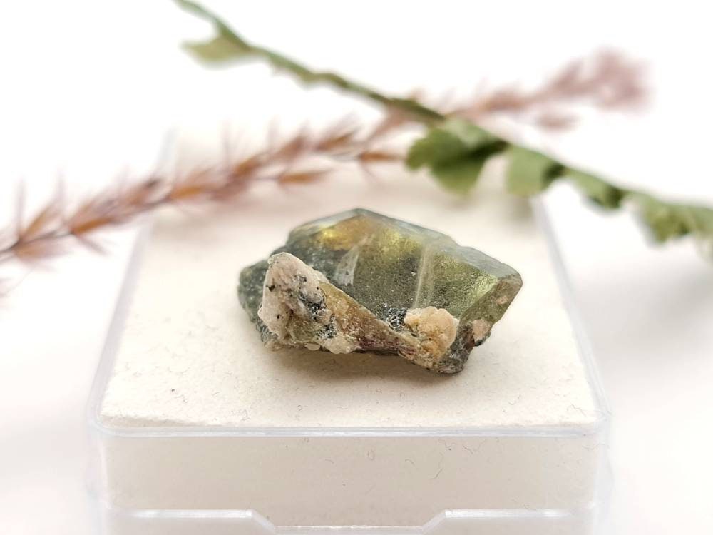 Echter Sphen /Titanit grün braun Rohstein Stufe Micromount Tormiqtal, Haramosh Mountains, Pakistan 19,3x12,8mm 15ct (Nr.1037)