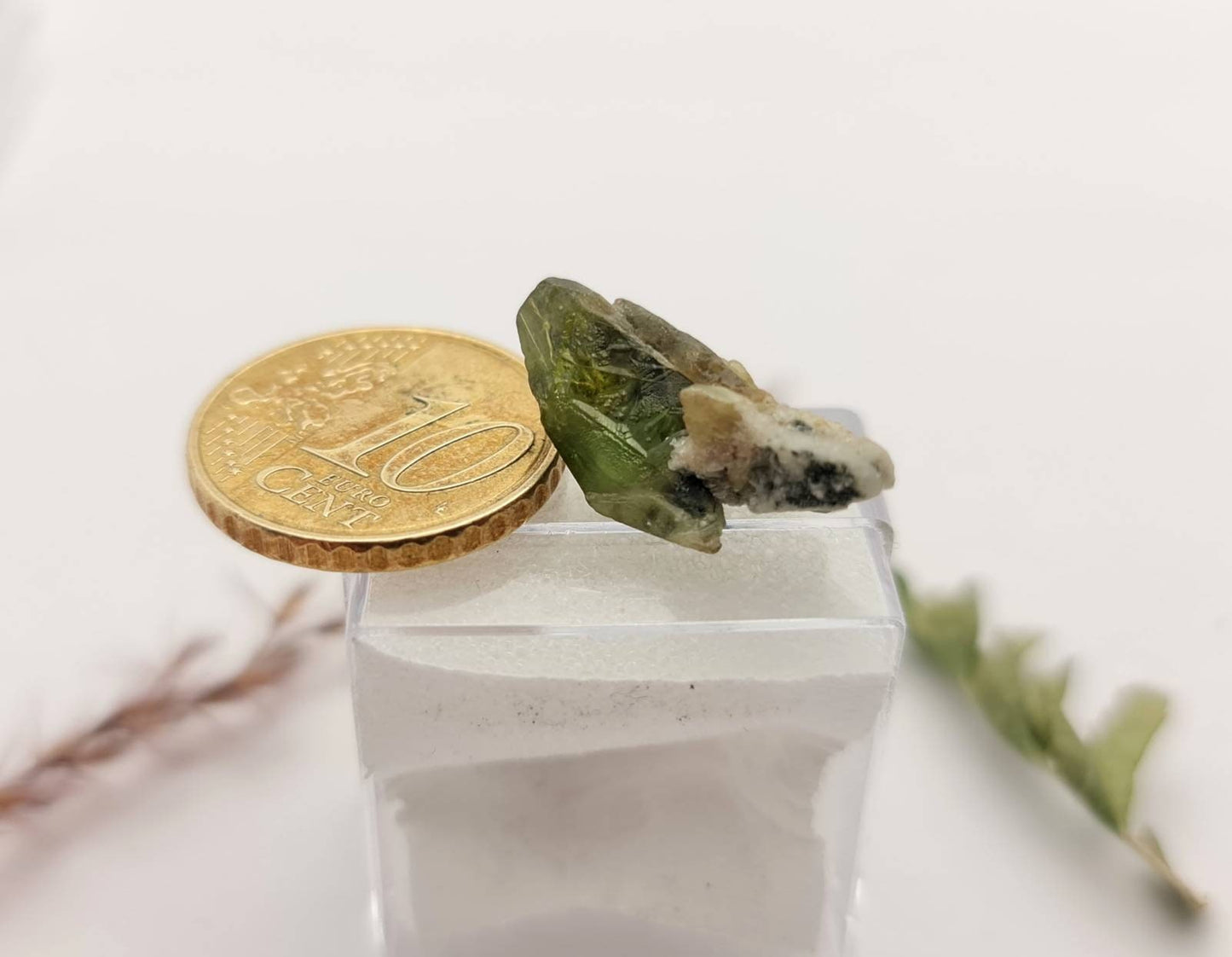 Echter Sphen/Titanit Rohstein Micromount aus dem Tormiqtal, Haramosh Mountains, Pakistan Stufe 21x8,4mm 9,3ct (Nr.1051)