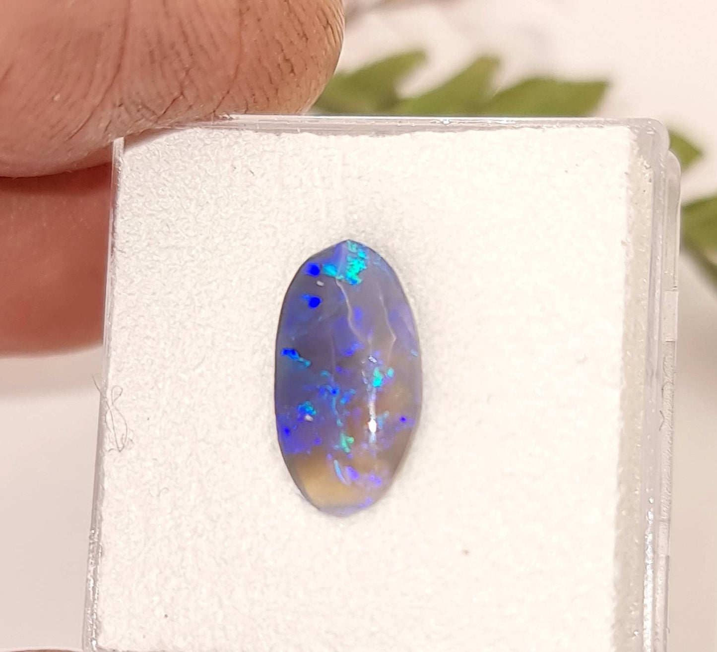 Echter semi-black Opal aus Lightning Ridge, Australien, Cabochon 13x7mm 1,6ct (Nr.1126)