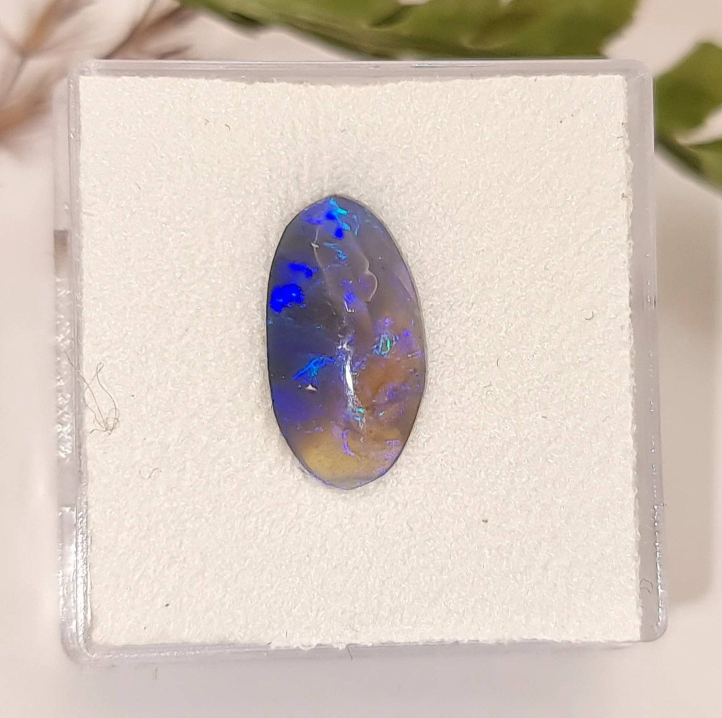 Echter semi-black Opal aus Lightning Ridge, Australien, Cabochon 13x7mm 1,6ct (Nr.1126)