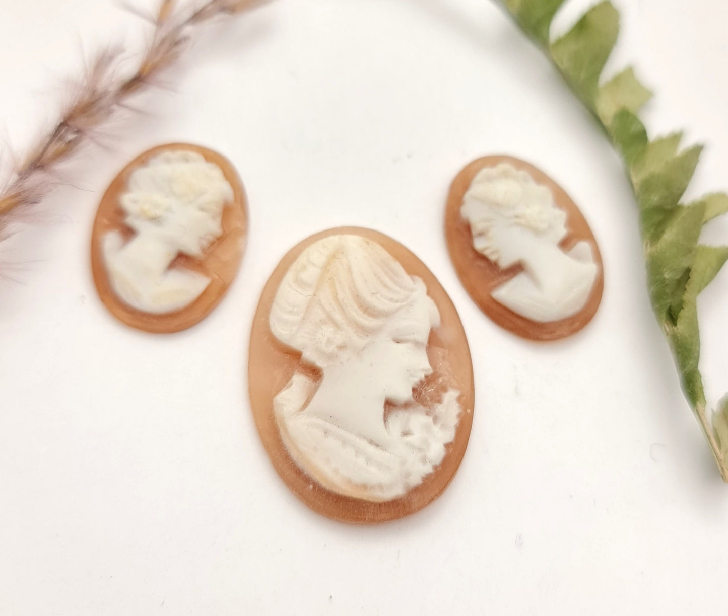 Handgeschnitzte antike Muschelkamee oval, verschiedene Varianten!