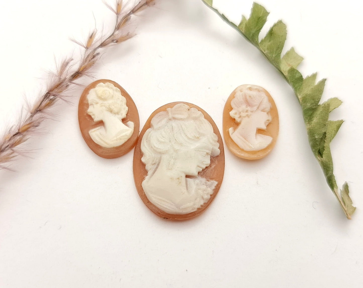 Handgeschnitzte antike Muschelkamee oval, verschiedene Varianten!
