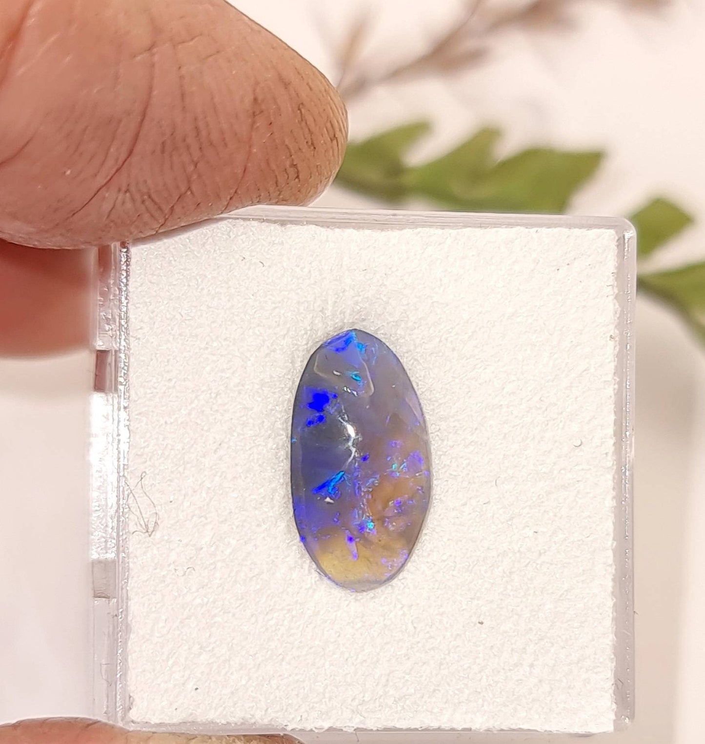 Echter semi-black Opal aus Lightning Ridge, Australien, Cabochon 13x7mm 1,6ct (Nr.1126)