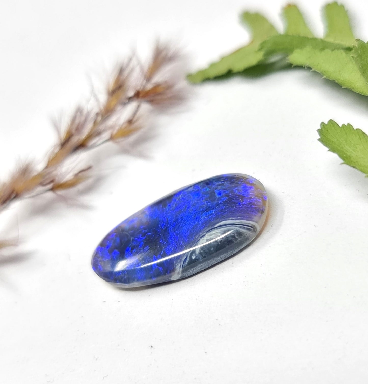 Australischer Black Opal, Cabochon mit intensiv blauem Farbspiel, 3,79ct  17x9x3mm