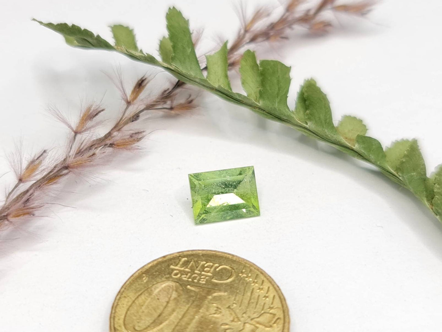 Nr.228 Grüner Peridot Rechteck facettiert 8x6mm 1,59ct