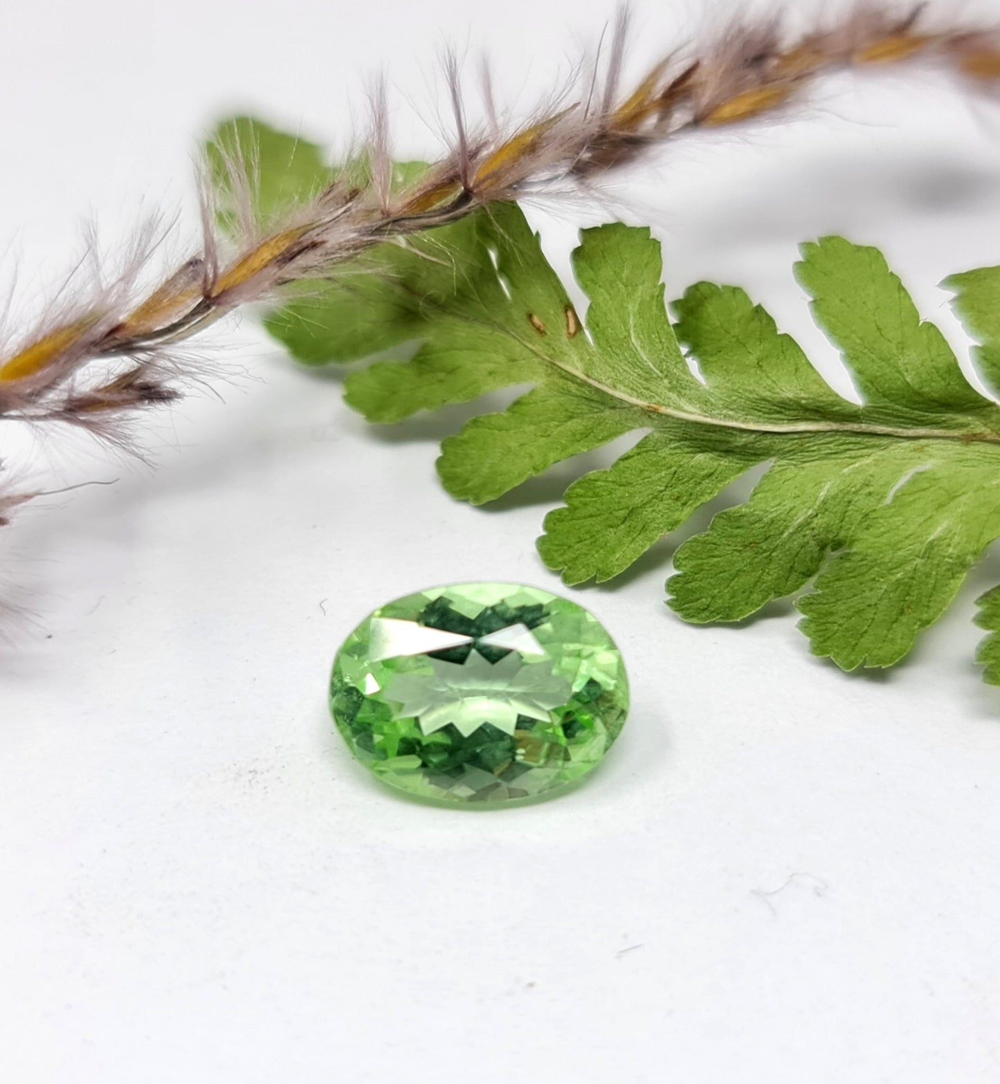 Nr.72, Exclusiver grüner Peridot, oval 10x7,5mm 2,51ct