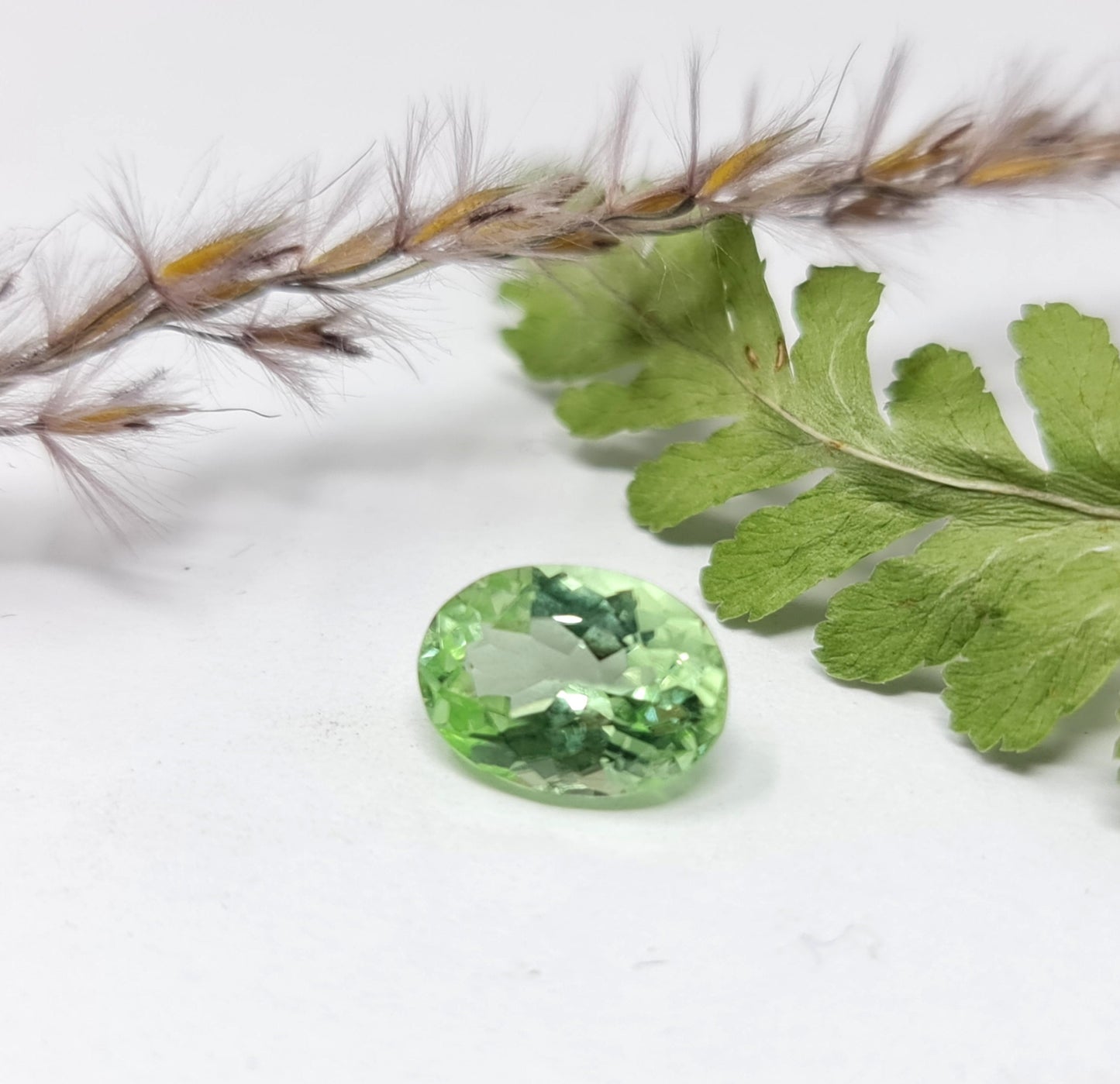 Nr.72, Exclusiver grüner Peridot, oval 10x7,5mm 2,51ct