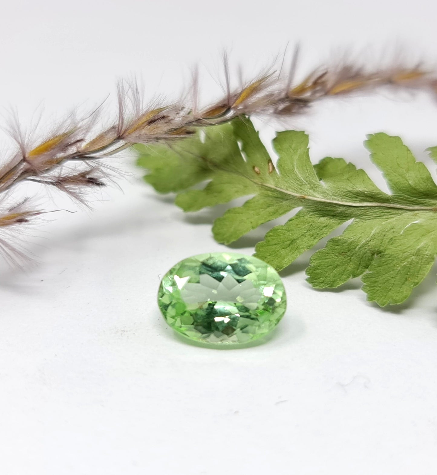 Nr.72, Exclusiver grüner Peridot, oval 10x7,5mm 2,51ct