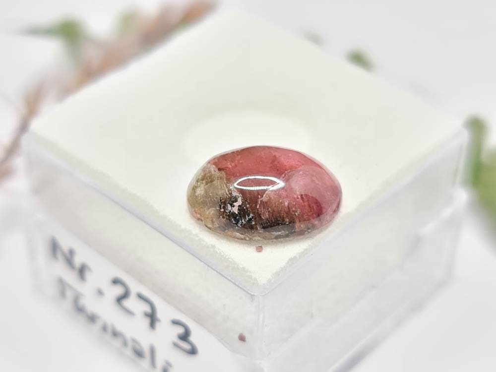 Bicolor Turmalin Katzenauge ovales Cabochon 11,5x9,8mm 3,68ct (Nr.273)