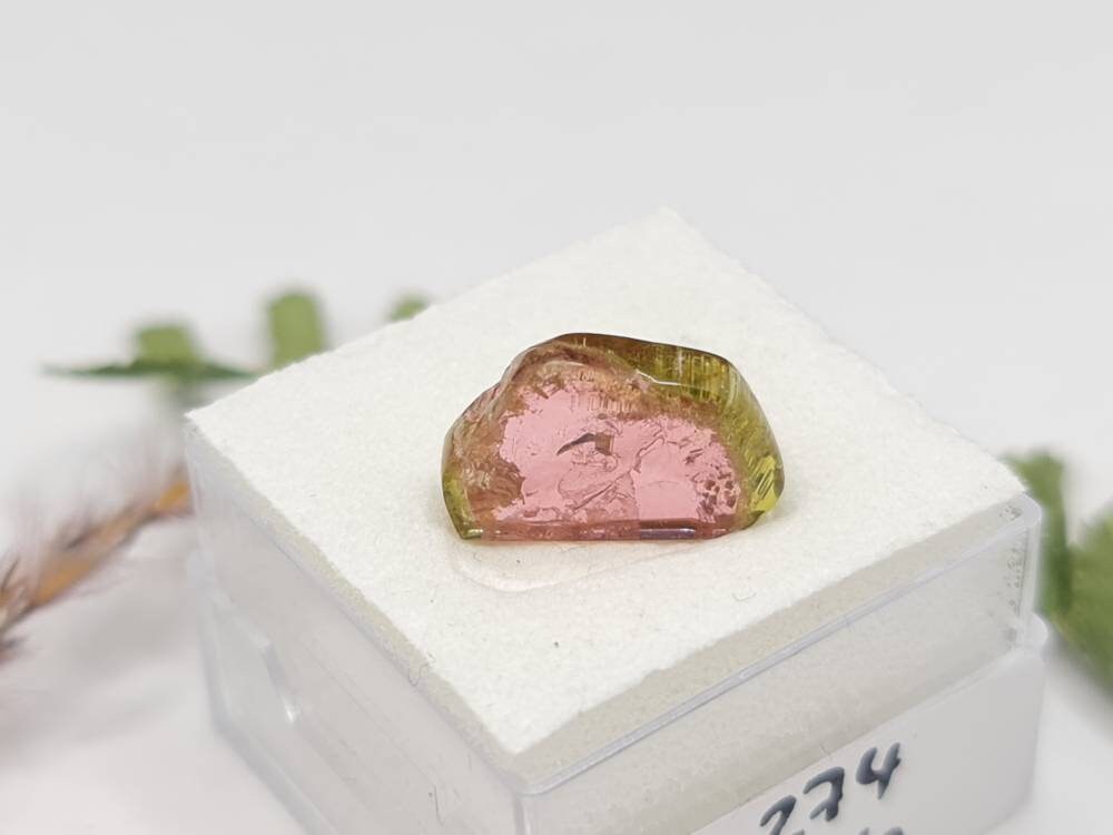 Wassermelonenturmalin bicolor Scheibe Cabochon 14x8,8mm 4,15ct (Nr.274)