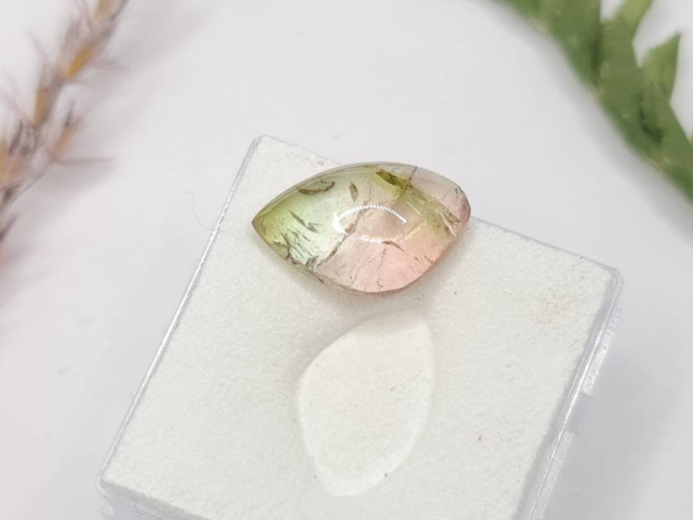 Bicolor Turmalin, Wassermelone, Cabochon 14x9mm 4,22ct (Nr.275)