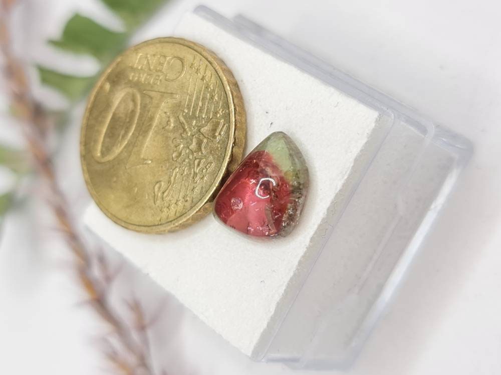 Bicolor Turmalin, Wassermelone, Cabochon 10,5x8,2mm 2,8ct (Nr.276)