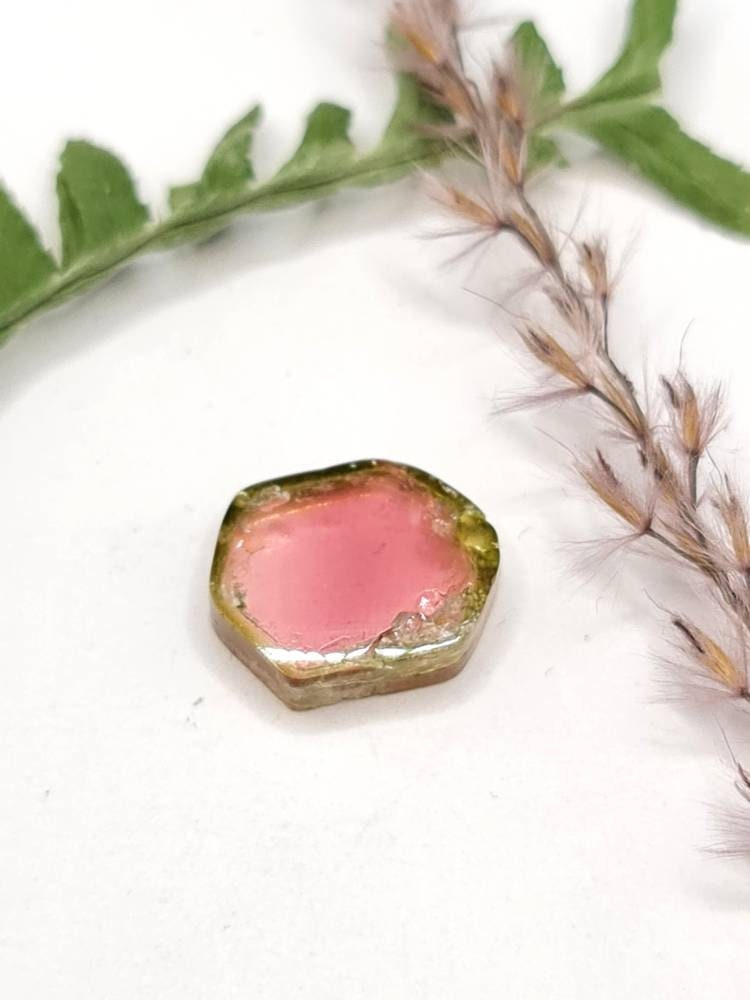 Wassermelonenturmalin Scheibe grün rosa 15x12mm 8,53ct (Nr.328)