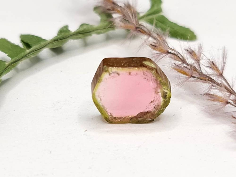 Wassermelonenturmalin Scheibe grün rosa 15x12mm 8,53ct (Nr.328)