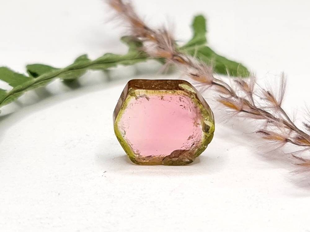 Wassermelonenturmalin Scheibe grün rosa 15x12mm 8,53ct (Nr.328)