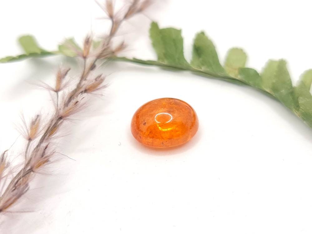 Mandaringranat oval Cabochon orange 11x9mm 6,91ct (Nr.415)