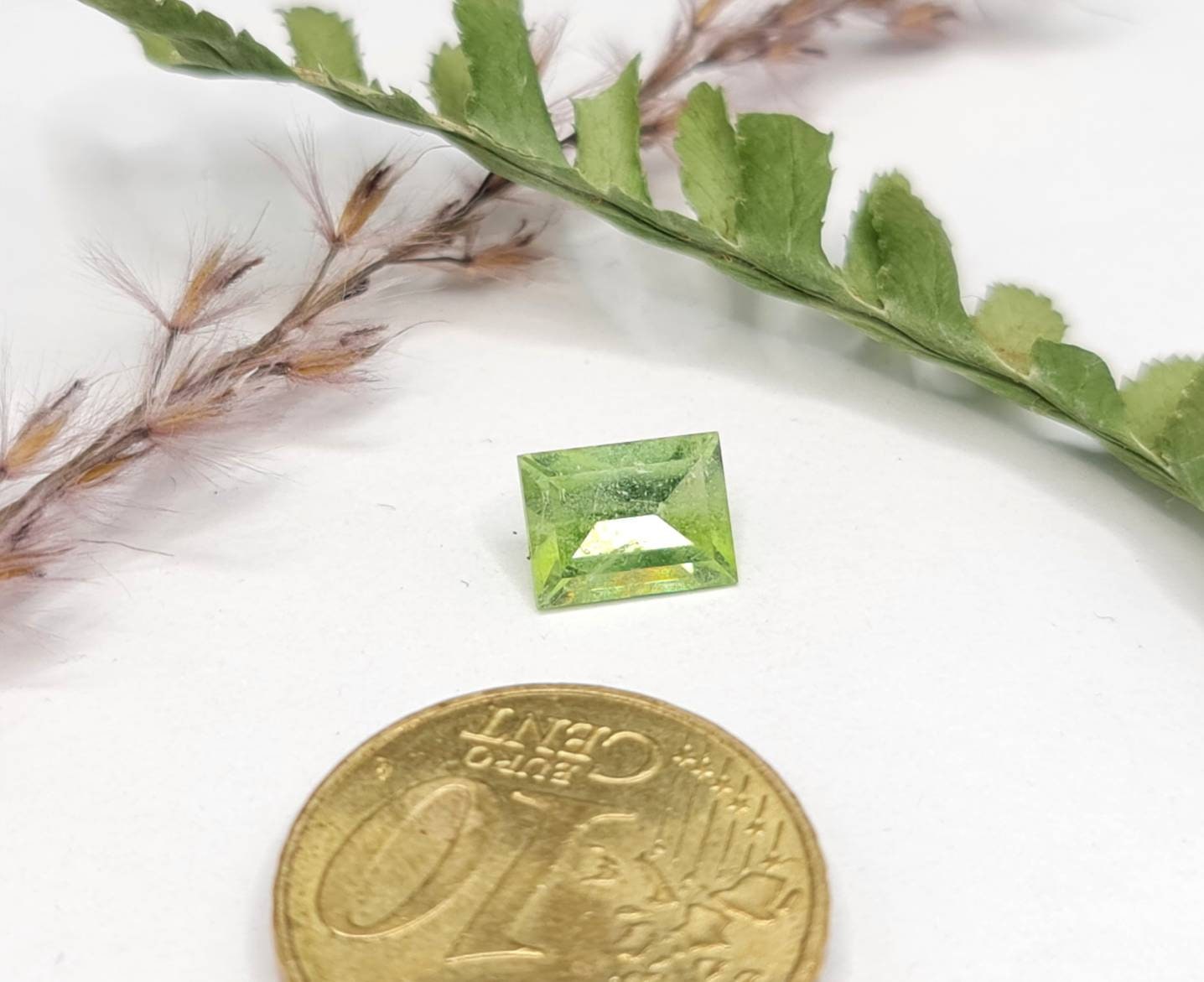 Nr.228 Grüner Peridot Rechteck facettiert 8x6mm 1,59ct