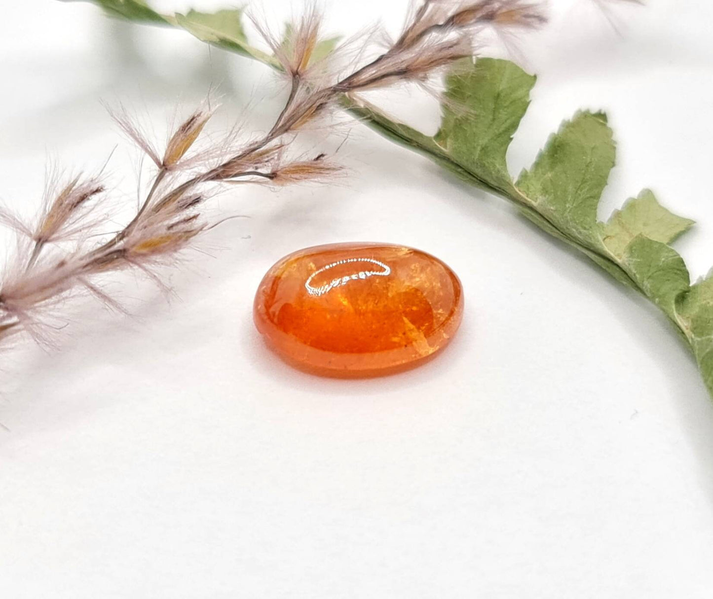 Ovales Mandaringranat Cabochon Spessartin orange 12x9mm 5,8ct (Nr.514)