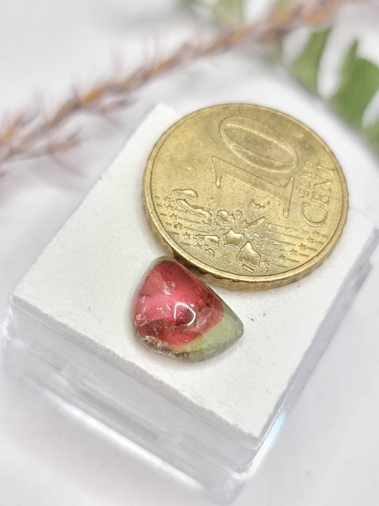 Bicolor Turmalin, Wassermelone, Cabochon 10,5x8,2mm 2,8ct (Nr.276)