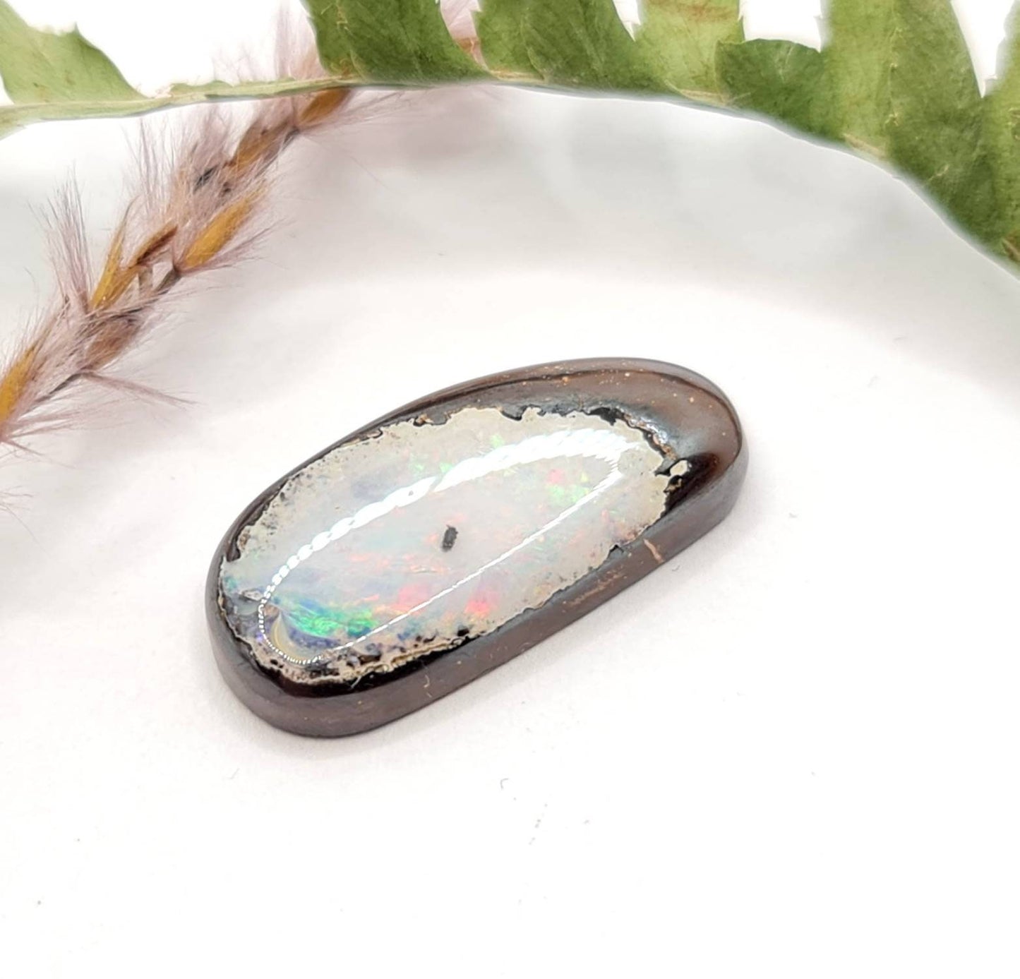 Echter australischer Boulderopal multicolor weiß Cabochon 20,3x9,9mm 9,2ct (Nr. 602)