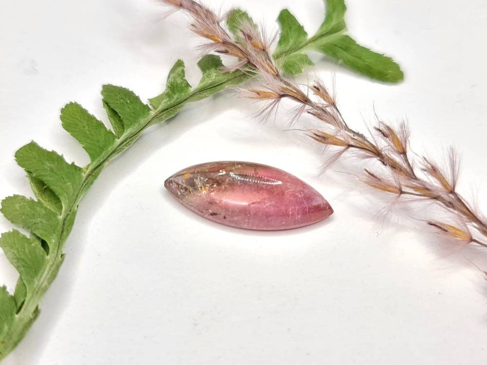 Bicolor Navette Turmalin Cabochon rosa grün 20,5x8,6mm 7,,18ct  (Nr.344)