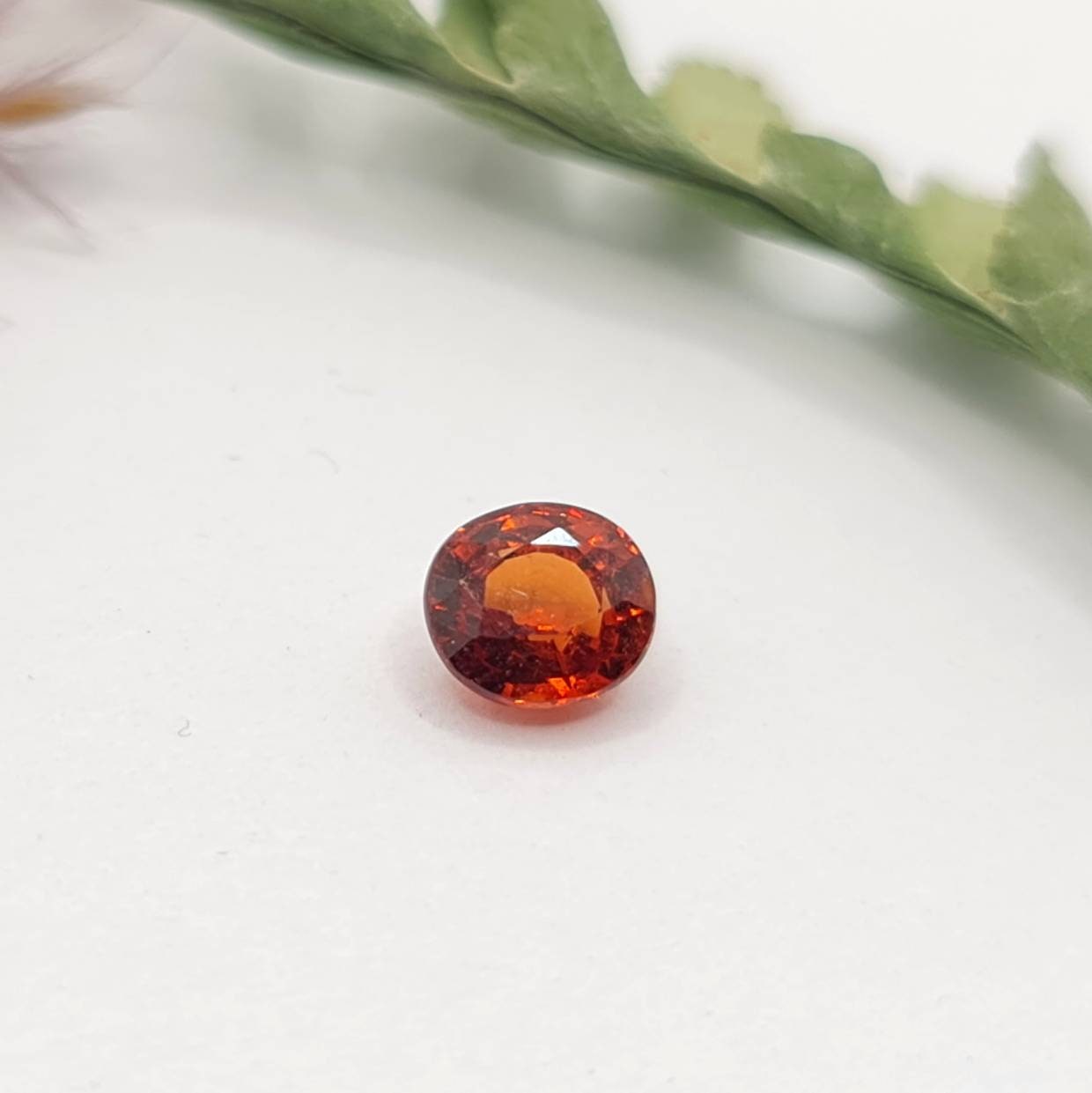 Feiner ovaler Mandaringranat, Spessartin, facettiert, orange 5,3x4,8mm 0,76ct (Nr.467)