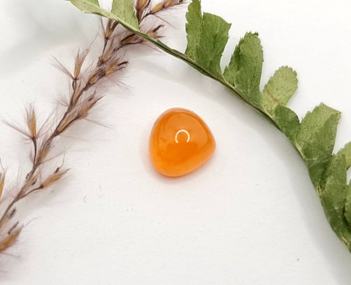 Orangefarbenes natürliches Mandaringranat Cabochon Spessartin 9,9x9,2mm 5,42ct (Nr.511)