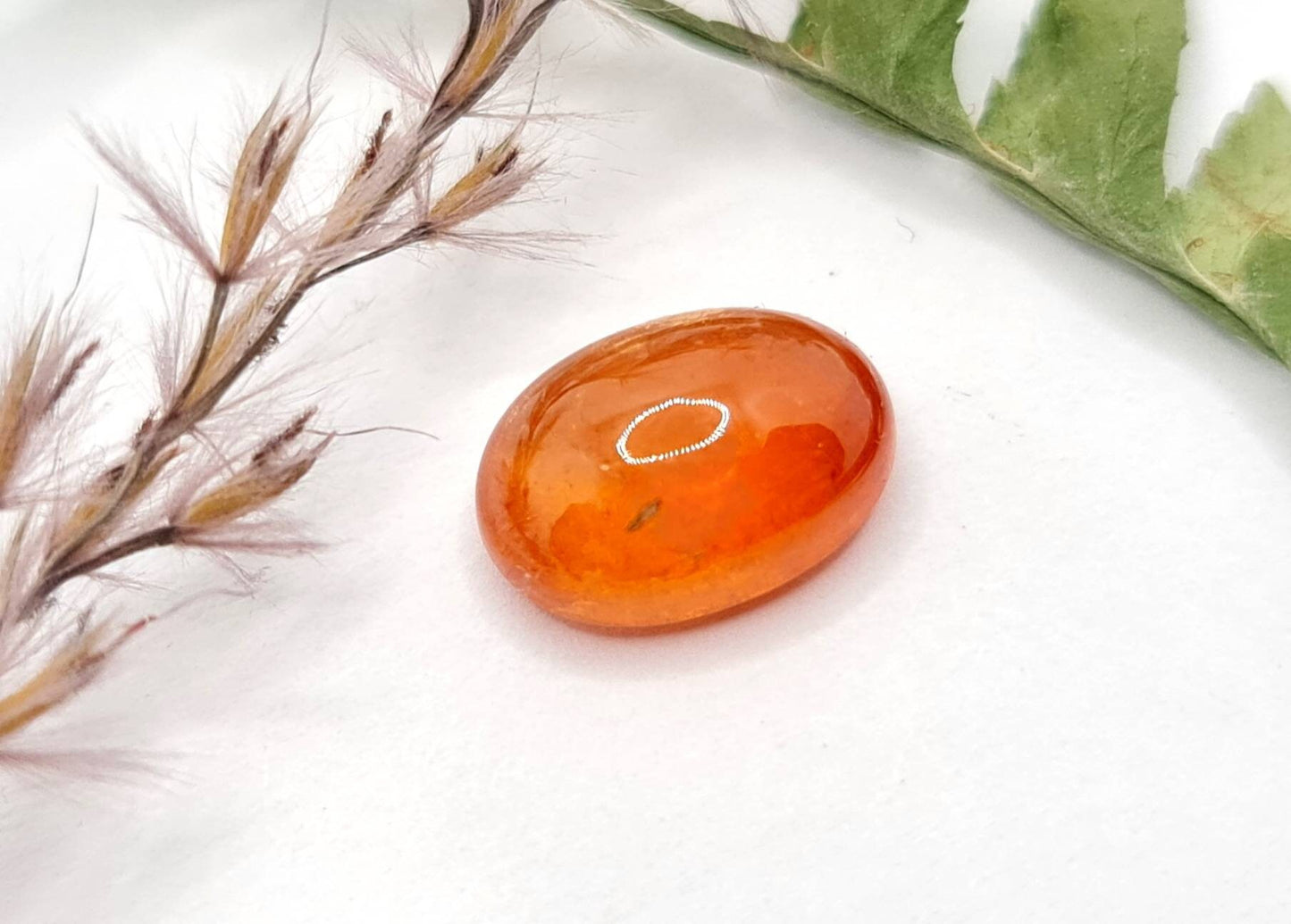 Orangefarbenes Mandaringranat Cabochon, oval Spessartin 11,2x8,1mm 4,06ct (Nr.521)