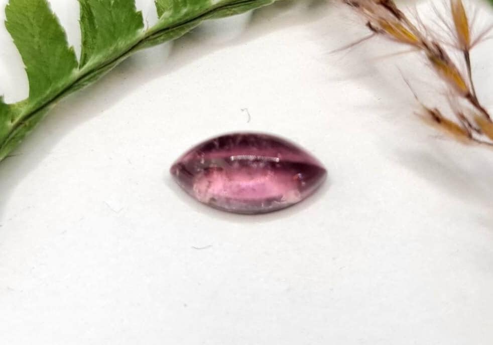 Rosa Turmalin Rubellit Navette Cabochon 12x6mm 2,83ct (Nr.342)