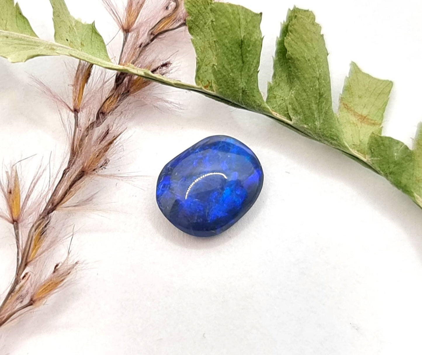 Echter Schwarzer Opal aus Lightning Ridge, Australien blau schwarz 9x7mm 1,54ct (Nr.596)