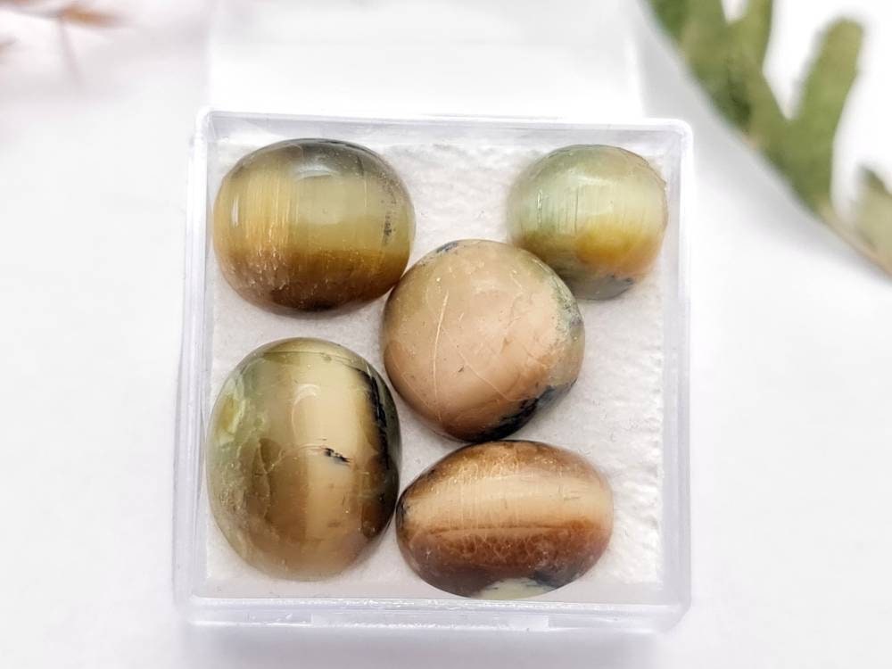 Echte Chrysoberyll Katzenauge Cabochons Lot 9-12mm 17,75ct (Nr.1044)