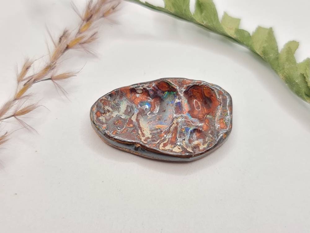 Echter australischer Boulderopal, Yowah Nuss Carving multicolor , Sammlerstein 26,7x16,4mm 18,18ct (Nr.613)