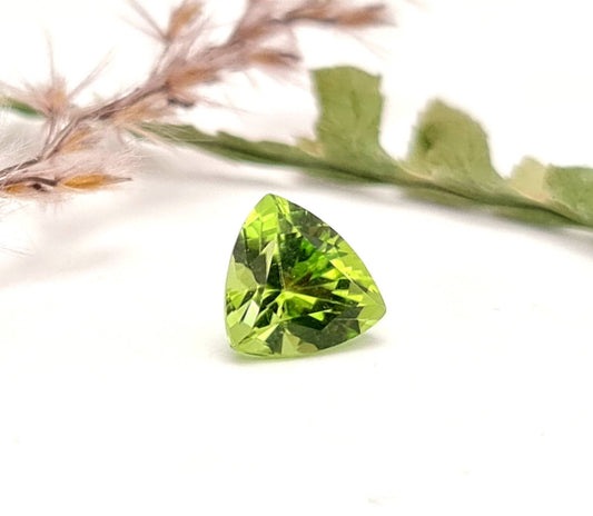 Echter grüner Peridot facettiert Trilliant Dreieck 8mm (Nr.1058)