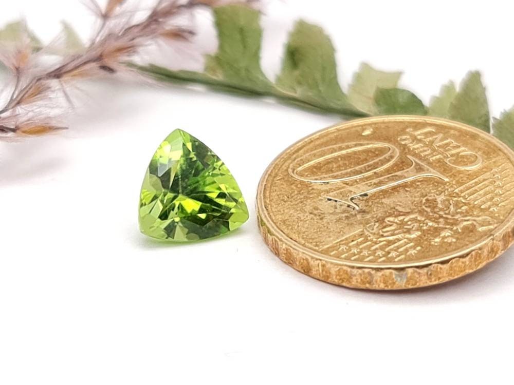 Echter grüner Peridot facettiert Trilliant Dreieck 8mm (Nr.1058)