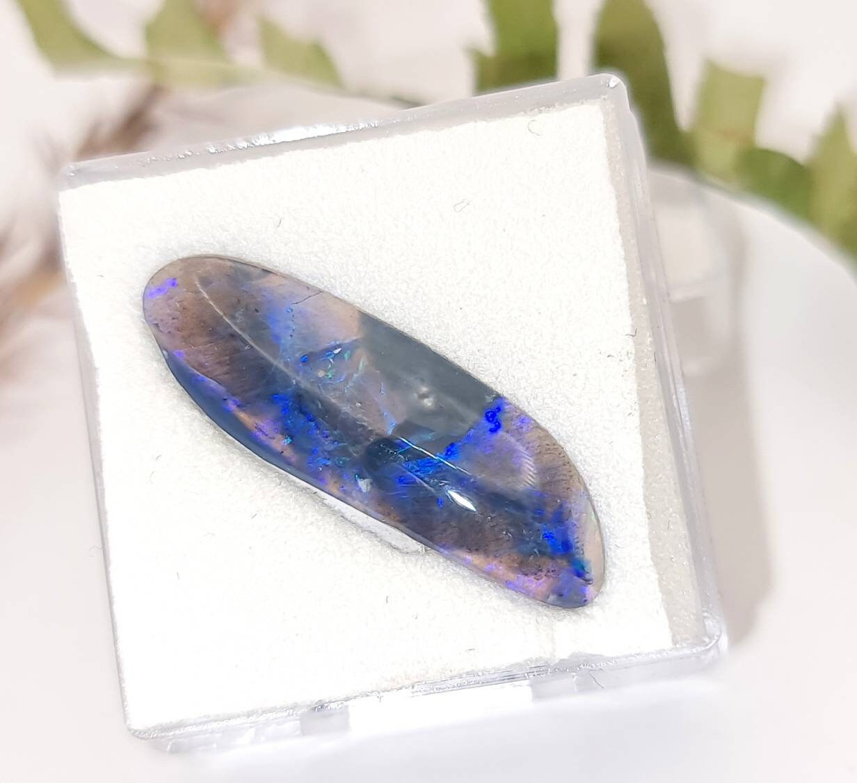 Australischer Black Opal Cabochon mit blau grünem Farbspiel 24,5x8mm 3,2ct (Nr.1120)