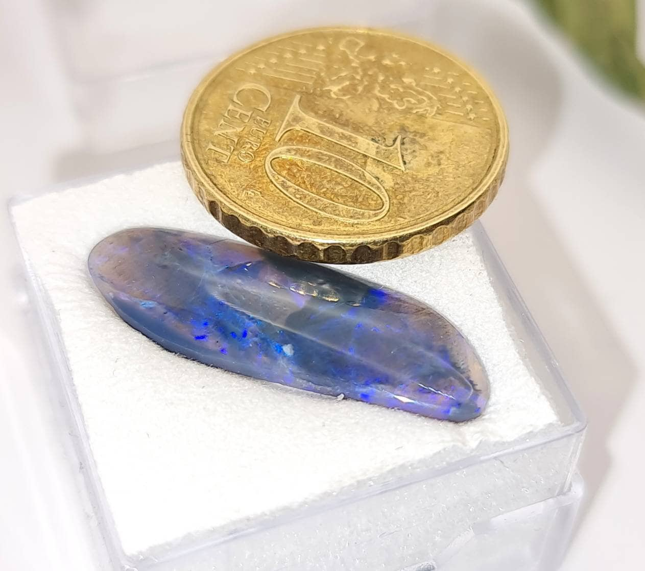 Australischer Black Opal Cabochon mit blau grünem Farbspiel 24,5x8mm 3,2ct (Nr.1120)