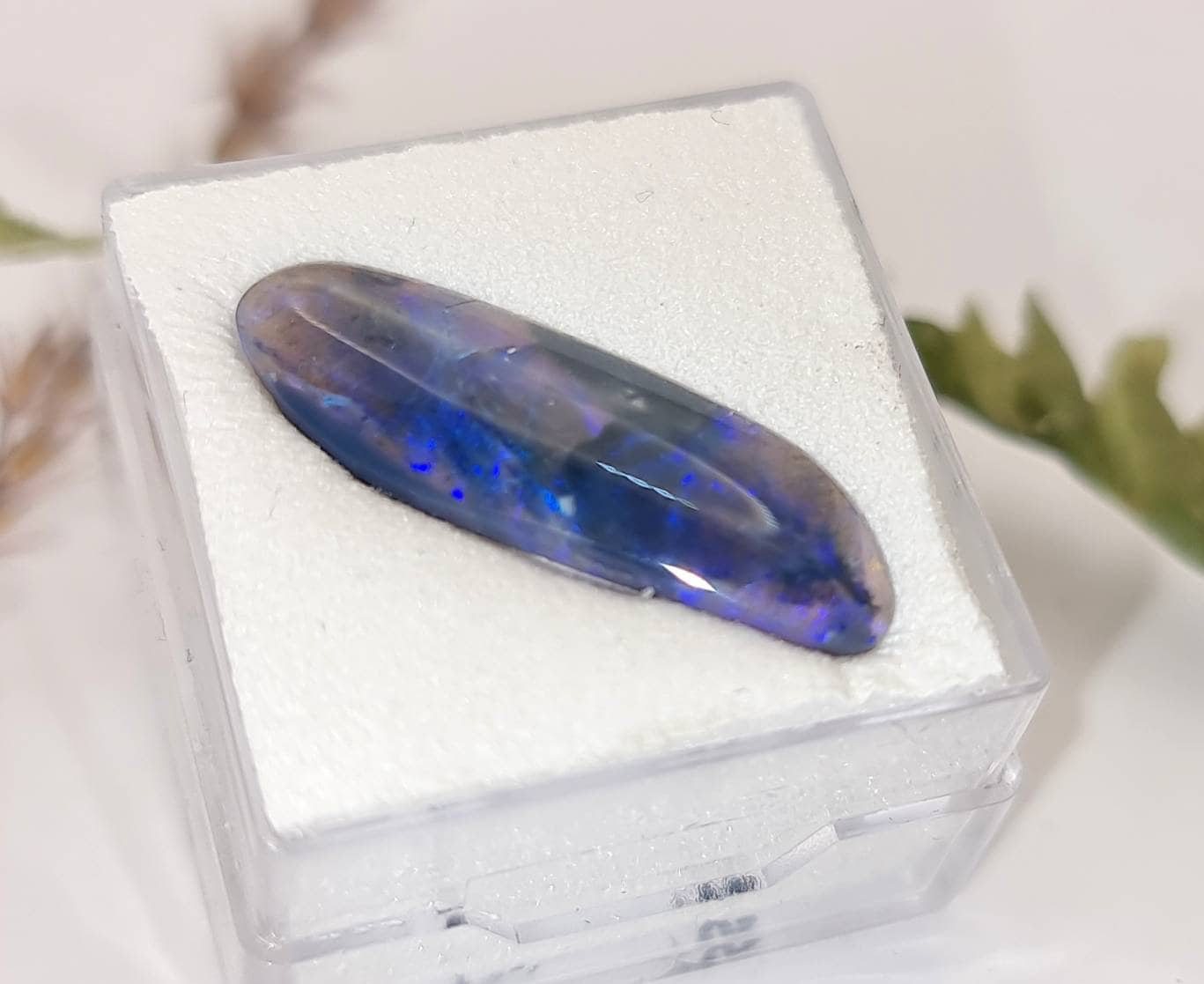 Australischer Black Opal Cabochon mit blau grünem Farbspiel 24,5x8mm 3,2ct (Nr.1120)