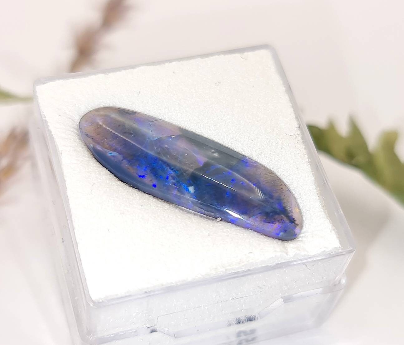 Australischer Black Opal Cabochon mit blau grünem Farbspiel 24,5x8mm 3,2ct (Nr.1120)